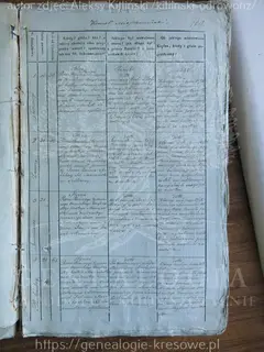 Кадр 1