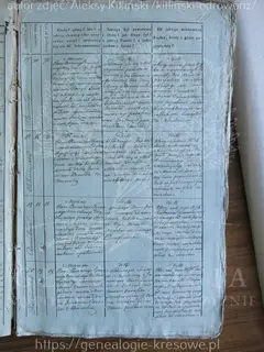 Кадр 5