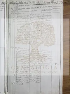Кадр 3