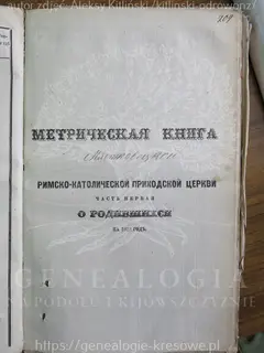 Кадр 1