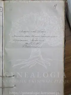 Кадр 1