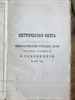 Кадр 1