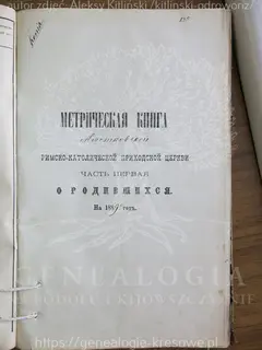 Кадр 1