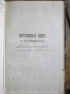 Кадр 1