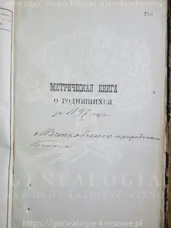 Кадр 1