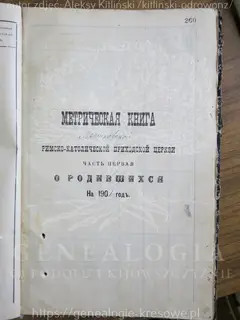 Кадр 1