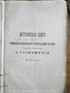 Кадр 1
