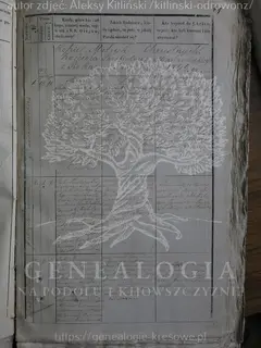 Кадр 1