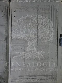 Кадр 2