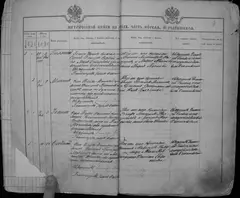 Кадр 5