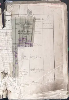 Кадр 5