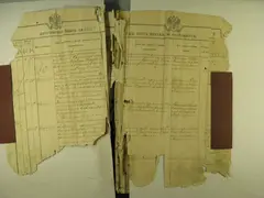 Кадр 5